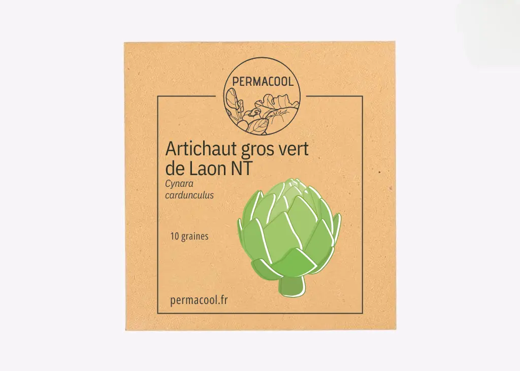 Artichaut gros vert de laon NT