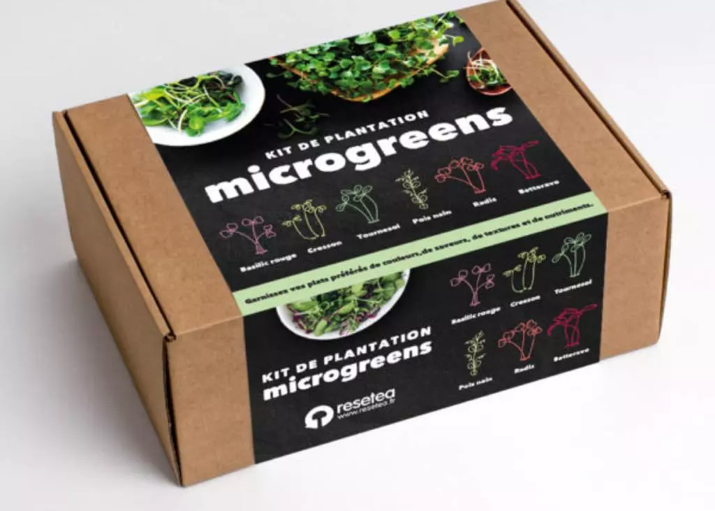 Kit de plantation de micro-pousses