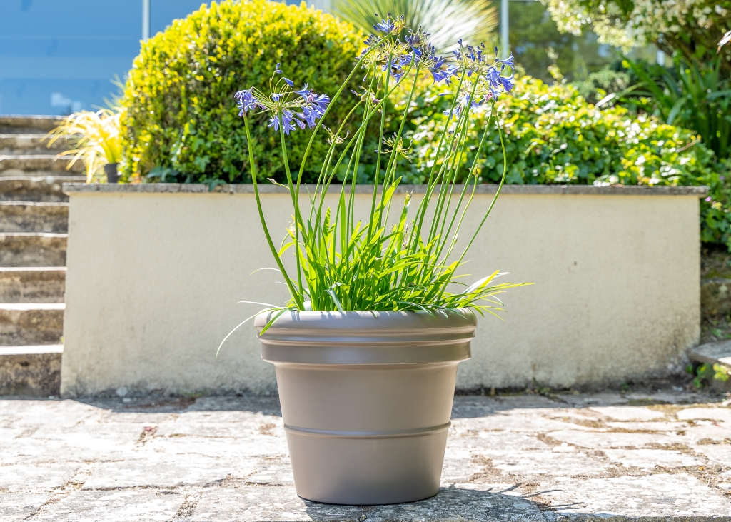 Pot de fleurs rond Léo Small