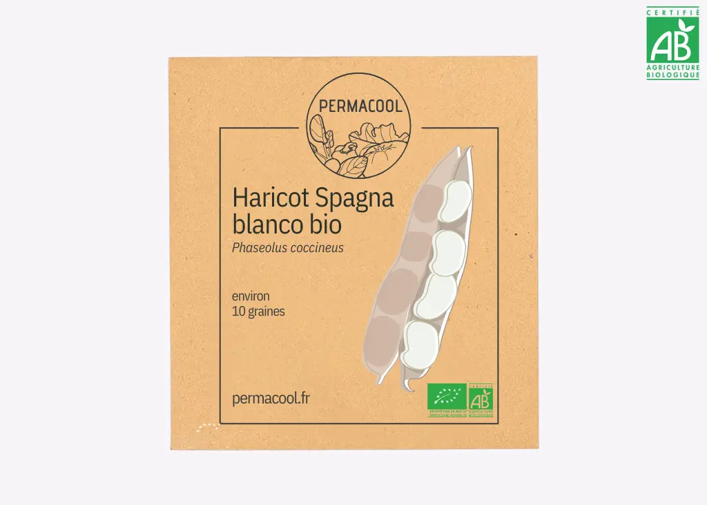 Haricot d'Espagne Spagna Bianco AB