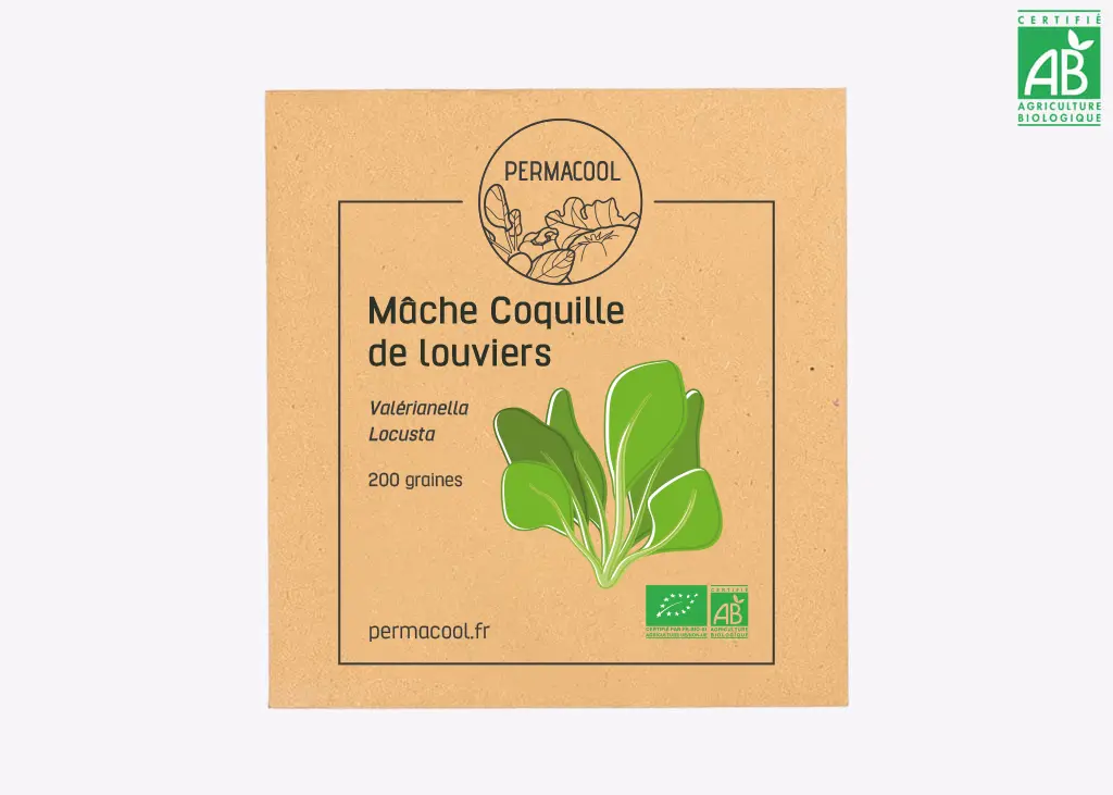 Mâche coquille de louviers AB