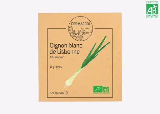 [PC-99] Oignon blanc de Lisbonne AB