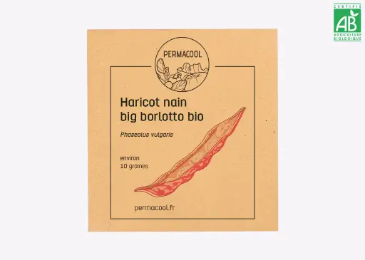 [PC-378DL] Haricot nain big borlotto DL