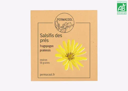 [PC-476DL] Salsifis des prés NT DL