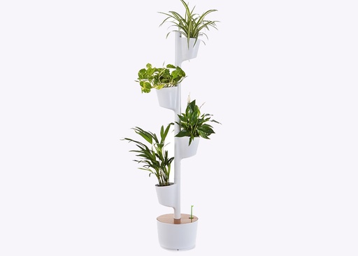 [DROP-113] Jardinière verticale 4 pots avec plantes dépolluantes