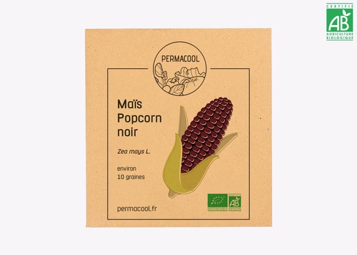 [PC-212] Maïs popcorn noir bio