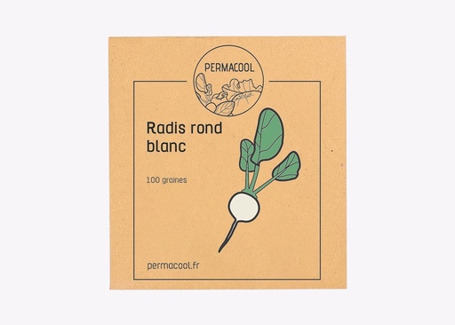 [PC-217] Radis rond blanc