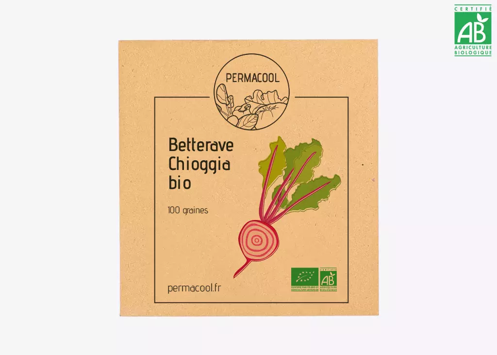 [PC-291] Betterave Chioggia