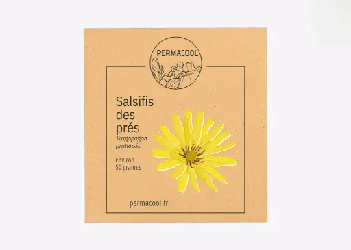 [PC-476] Salsifis des prés