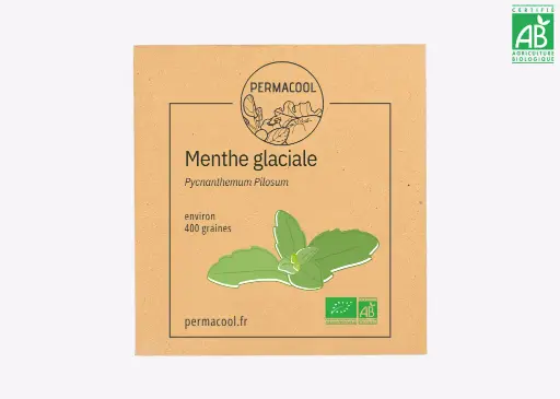 [PC-626] Menthe glaciale AB