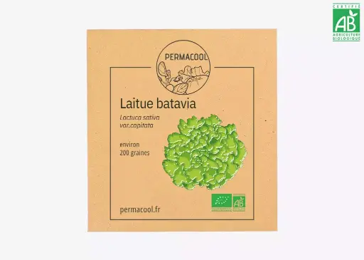 [PC-659] Laitue Batavia Bio