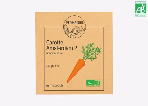 [PC-954] Carotte Amsterdam 2 AB