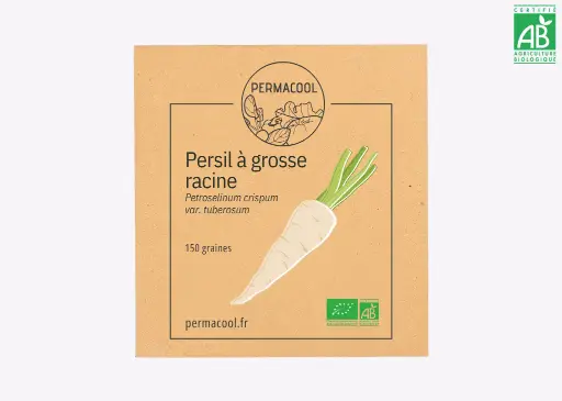 [PC-817] Persil à grosse racine AB 