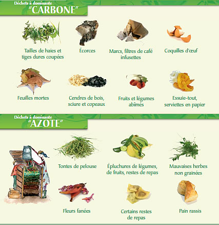 Guide du compostage en cuisine comme au jardin - Enerzine